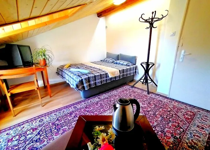 Vandrarhem Central Suites *